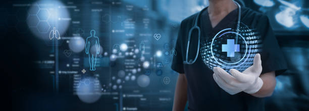 The Core Components of an Effective Wellness System